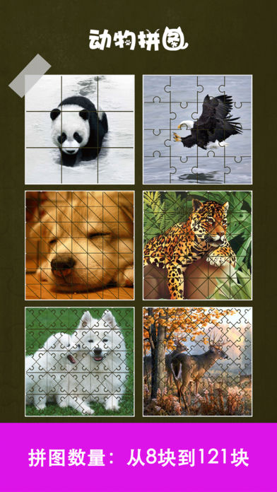 动物拼图 - 为孩子和幼儿了解野生动物世界