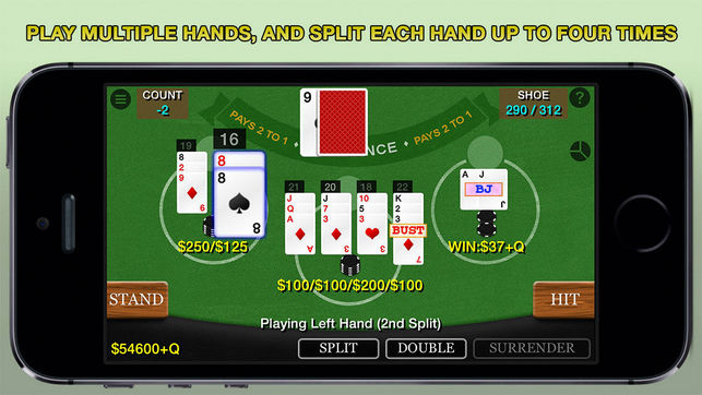 Blackjack 21 Pro - Multi-Hand (Vegas Casino Fun)