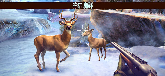 猎鹿人2017
