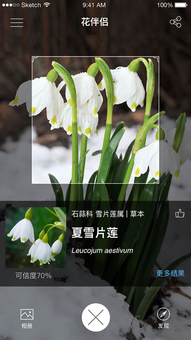 花伴侣-精准植物拍照识别