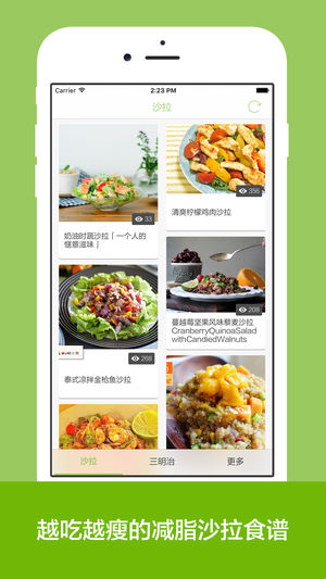 瘦身沙拉 - 美味又减脂的营养沙拉食谱