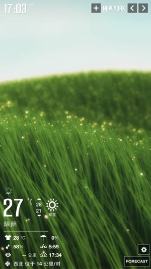 Clear Day - Weather HD