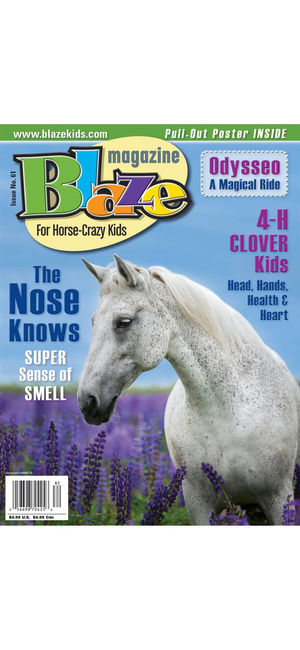 Blaze Magazine