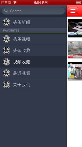 头条新闻-专业版（新闻+视频）