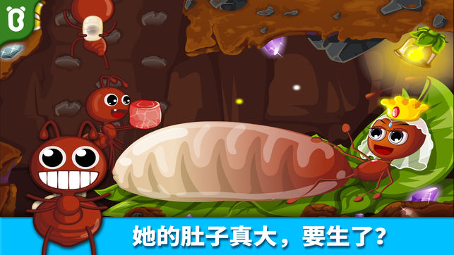 宝宝认蚂蚁-宝宝巴士