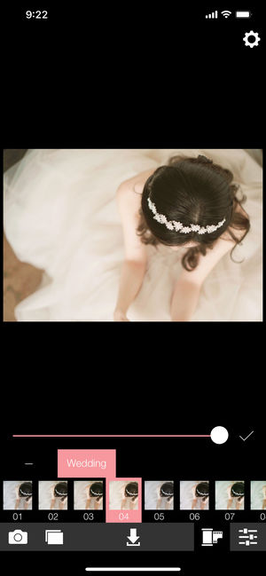 Analog Wedding (模拟婚礼)