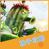 柚子攻略 for 植物大战僵尸 植物大战僵尸2