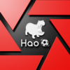 Hao球——赛事运营管理专家