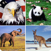 看图猜动物 - 动物知识大全，儿童教育益智游戏，趣味识图拼图，叫声斗鱼斗牛牛，魔兽贪吃蛇精灵海贼企鹅